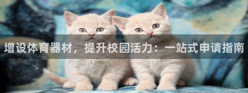 耀世平台登录地址是什么：增设体育器材，提升校园活力：