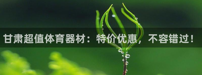 耀世燃气灶是哪个牌子：甘肃超值体育器材：特价优惠，不