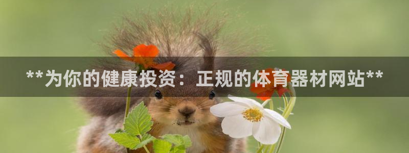 耀世平台网址：**为你的健康投资：正规的体育器材网站