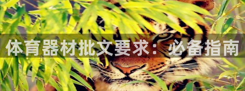 耀世幻主：体育器材批文要求：必备指南