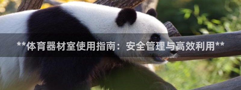 耀世娱乐下载最新版本安装：**体育器材室使用指南：安