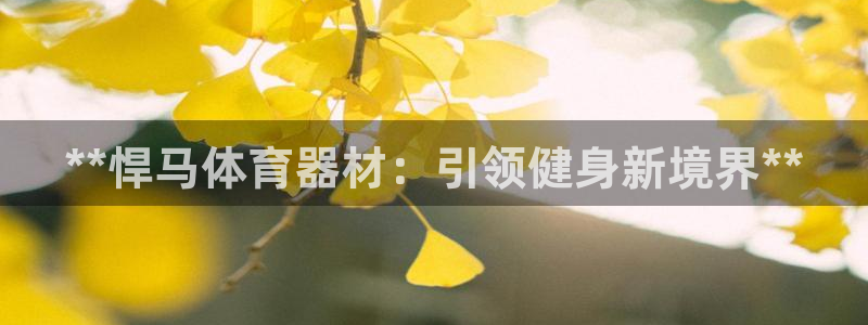 耀世平台代理注册登录不了：**悍马体育器材：引领健身