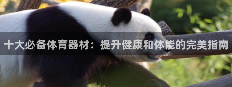 耀世平台开户流程是什么：十大必备体育器材：提升健康和