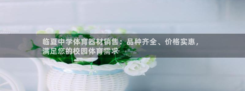 耀世国际平台正规吗可靠吗安全吗：临夏中学体育器材销售