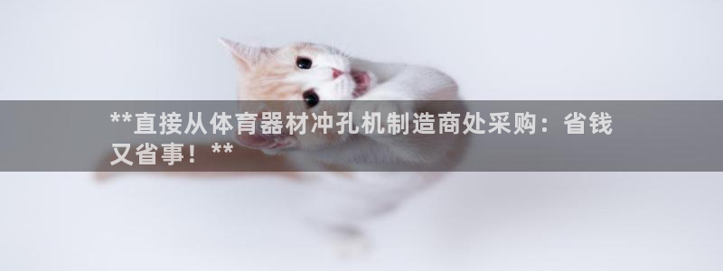 耀世三国官网：**直接从体育器材冲孔机制造商处采购：