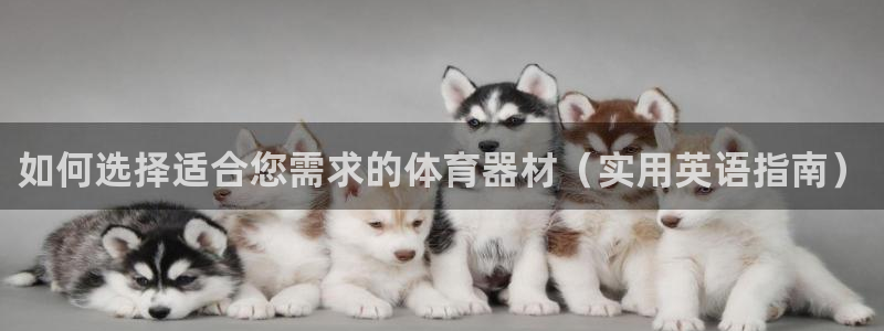耀世娱乐登陆地址在哪：如何选择适合您需求的体育器材（