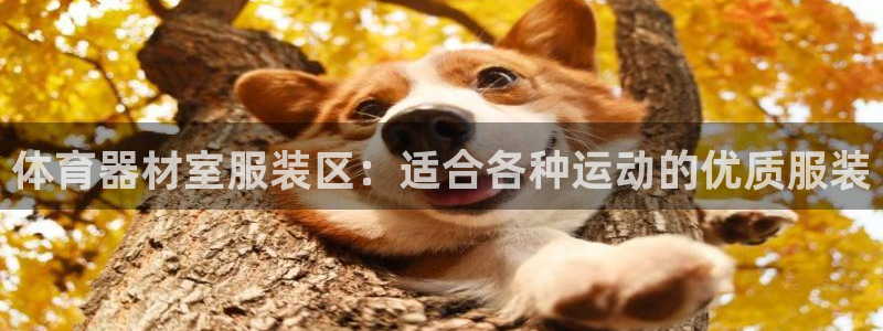 耀世开盘是什么意思：体育器材室服装区：适合各种运动的