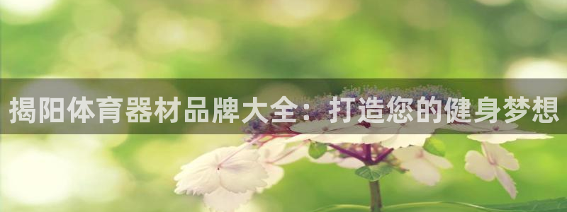 耀世是什么意思：揭阳体育器材品牌大全：打造您的健身梦