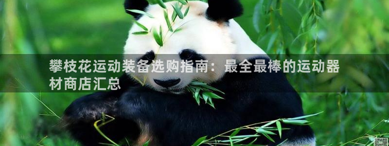 耀世挑战攻略：攀枝花运动装备选购指南：最全最棒的运动
