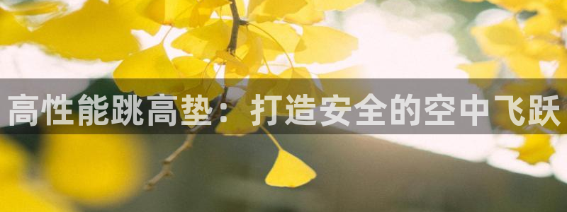 耀世平台先 58534I 耀世：高性能跳高垫：打造安