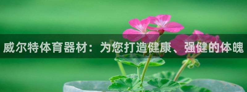 耀世娱乐挂机教程视频：威尔特体育器材：为您打造健康、