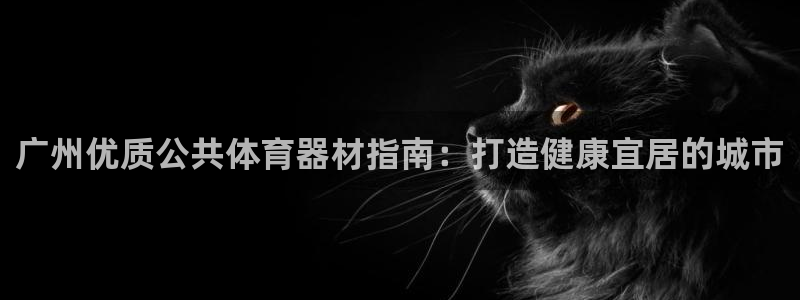 耀世官方网站入口：广州优质公共体育器材指南：打造健康