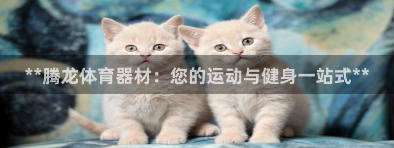 耀世平台哪个彩种是公平彩中的：**腾龙体育器材：您的