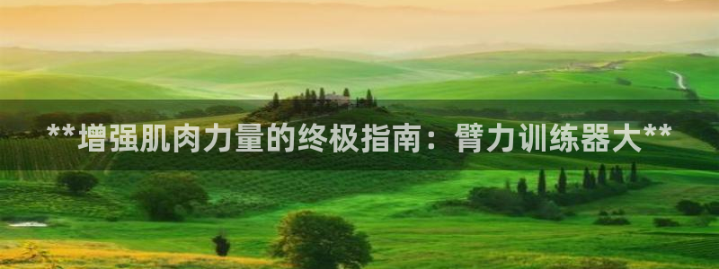 耀世登场：**增强肌肉力量的终极指南：臂力训练器大*