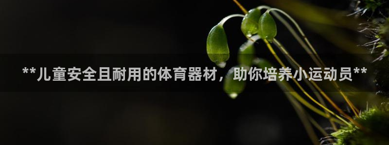耀世平台总代理是谁：**儿童安全且耐用的体育器材，助