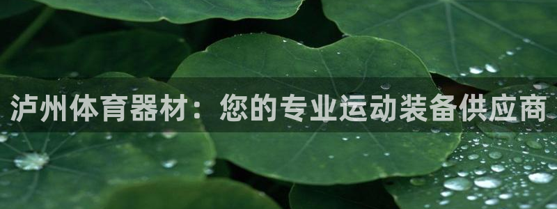 耀世娱乐如何登录账号啊：泸州体育器材：您的专业运动装