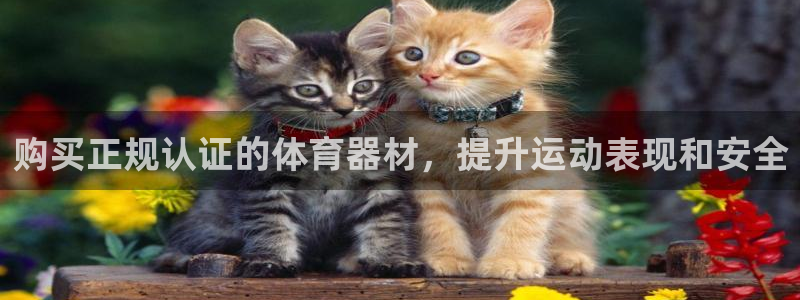 耀世平台注册登录不上怎么回事：购买正规认证的体育器材