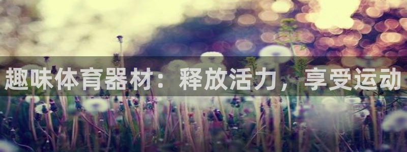 耀世娱乐登陆官网网址：趣味体育器材：释放活力，享受运