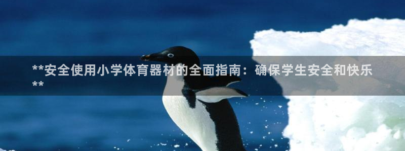 耀世微光mp3下载：**安全使用小学体育器材的全面指