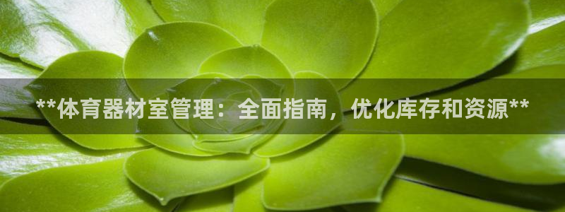 耀世娱乐脚本不死挂机：**体育器材室管理：全面指南，