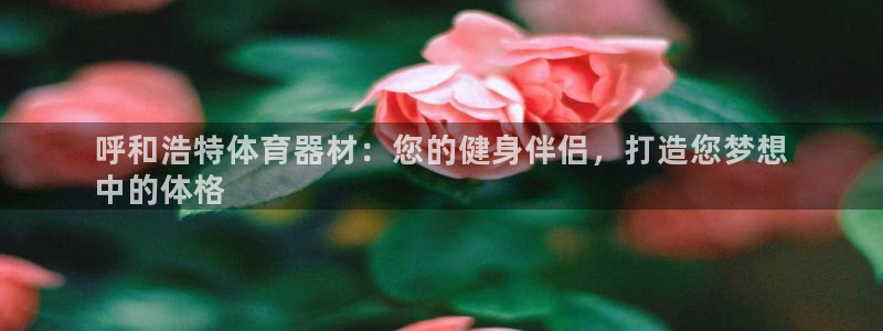 耀世娱乐是正规还是仿：呼和浩特体育器材：您的健身伴侣