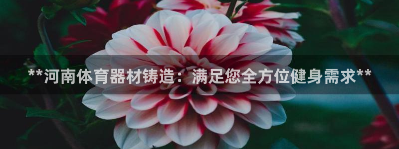 耀世娱乐优 411o31 耀世：**河南体育器材铸造