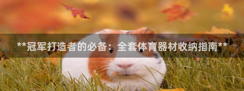 耀世娱乐是什么意思啊：**冠军打造者的必备：全套体育