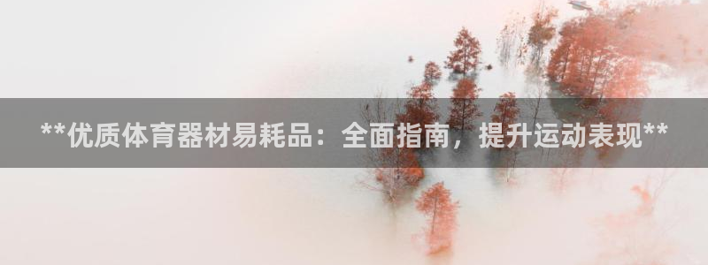 耀世平台代理怎么样可靠吗：**优质体育器材易耗品：全