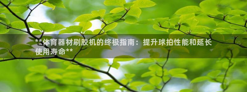 耀世娱乐脚本下载：**体育器材刷胶机的终极指南：提升