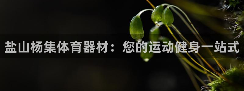 耀世娱乐登陆：盐山杨集体育器材：您的运动健身一站式