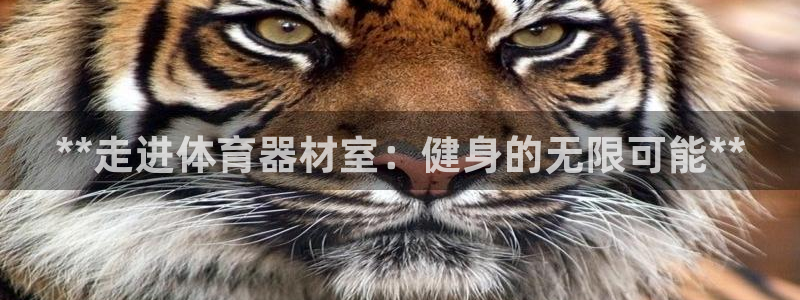 耀世娱乐注册资金多少：**走进体育器材室：健身的无限