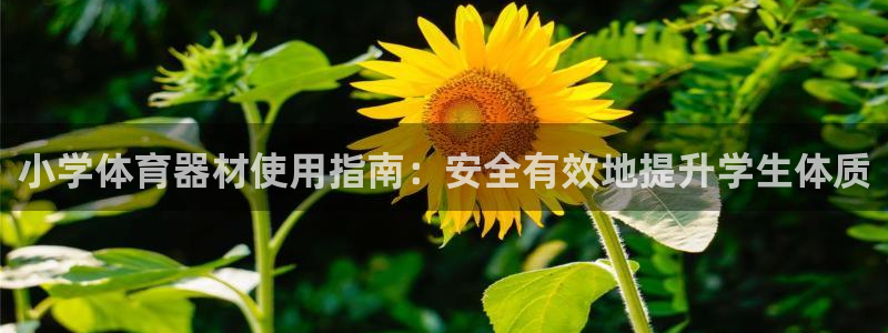 耀世平台客服24小时在线咨询：小学体育器材使用指南：