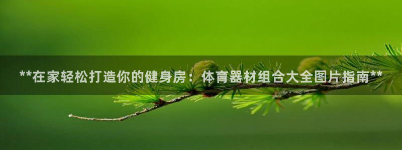 耀世盛典手游：**在家轻松打造你的健身房：体育器材组