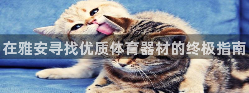 耀世娱乐电 5O6917 娱乐：在雅安寻找优质体育器