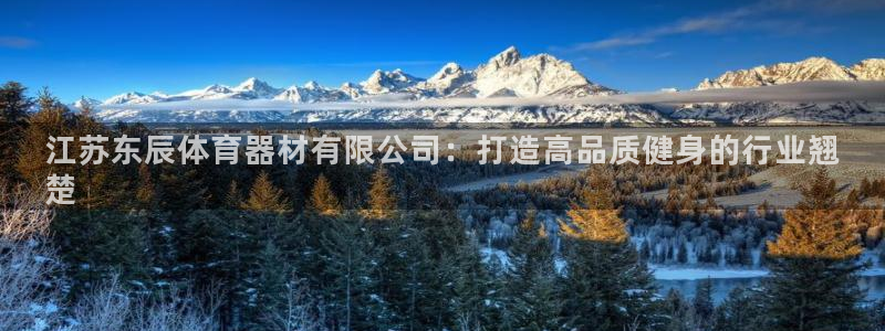 耀世平台无7O777：江苏东辰体育器材有限公司：打造