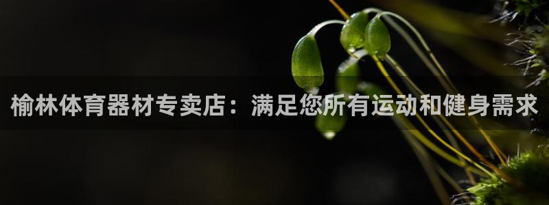 耀世油烟机价格及图片：榆林体育器材专卖店：满足您所有