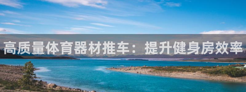 高质量体育器材推车：提升健身房效率