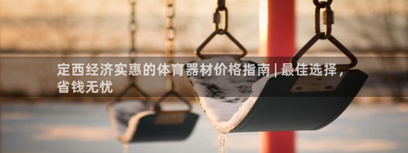 耀世来袭什么意思：定西经济实惠的体育器材价格指南 |