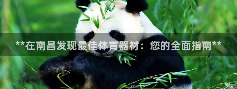 耀世传说：**在南昌发现最佳体育器材：您的全面指南*