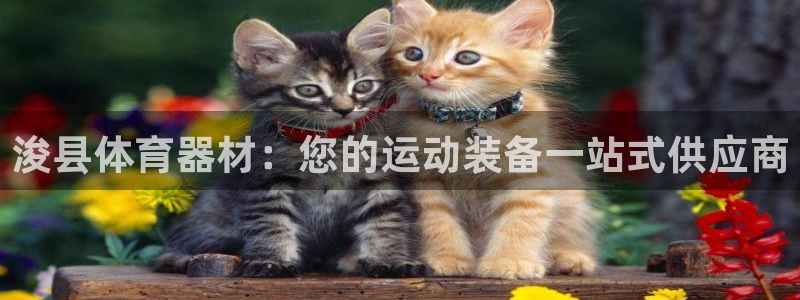 耀世娱乐丁6.7.5.1.3.8：浚县体育器材：您的