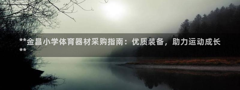 耀世平台代理怎么样：**金昌小学体育器材采购指南：优