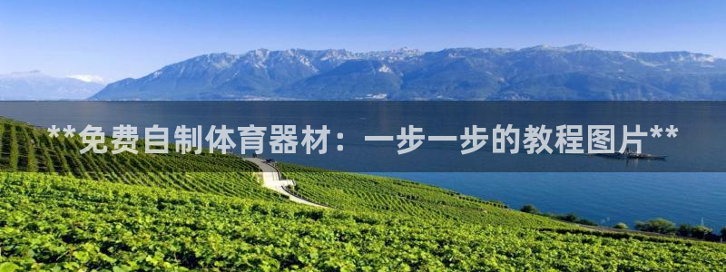 耀世平台注册网址是多少啊：**免费自制体育器材：一步