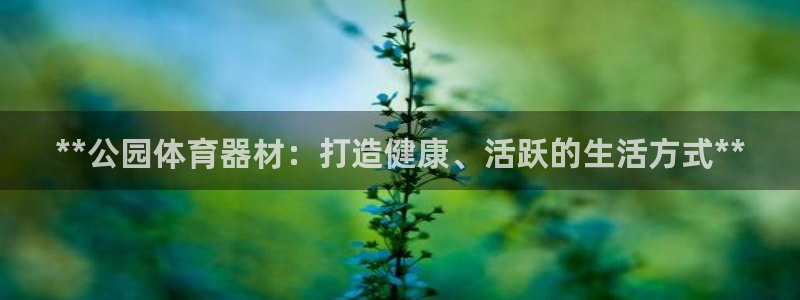 耀世集团耀哥：**公园体育器材：打造健康、活跃的生活