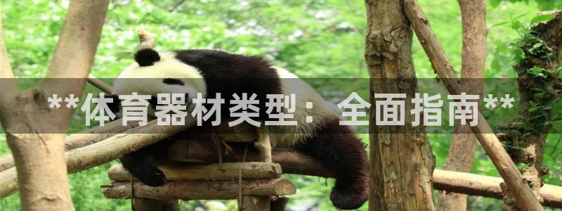 耀世平台精选 58534I 耀世：**体育器材类型：