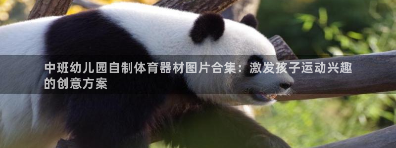 耀世娱乐好不好做：中班幼儿园自制体育器材图片合集：激