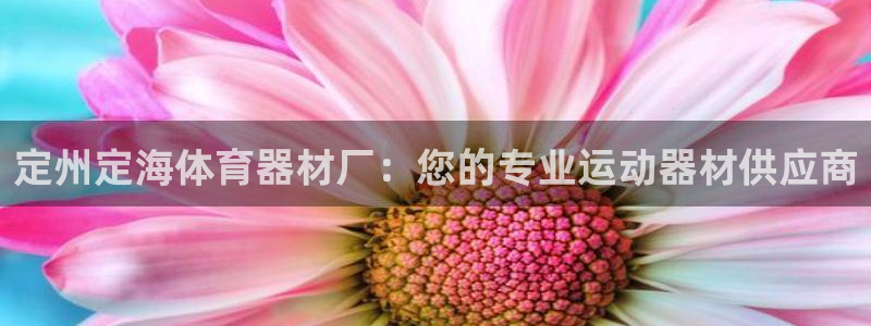 耀世团长：定州定海体育器材厂：您的专业运动器材供应商