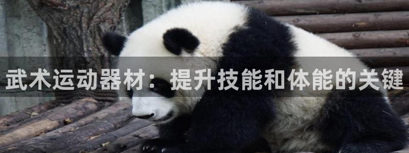 耀世娱乐挂机赚钱吗：武术运动器材：提升技能和体能的关