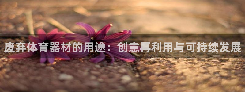 耀世集团商业联盟招聘：废弃体育器材的用途：创意再利用