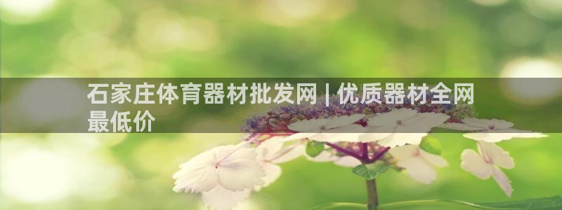 耀世平台注册步骤及时间：石家庄体育器材批发网 | 优
