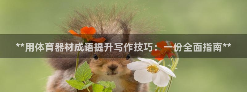 耀世挑战第3关怎么过：**用体育器材成语提升写作技巧